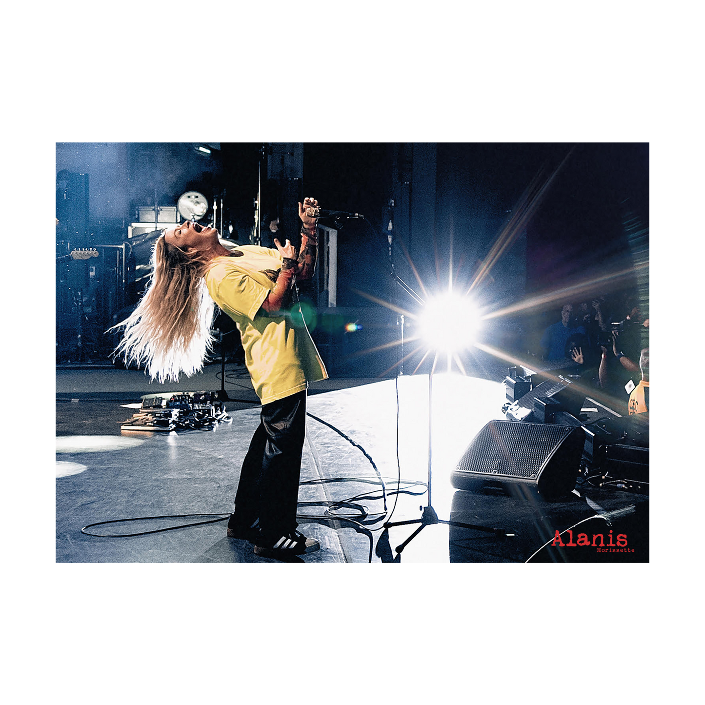 AM Poster - Alanis Morissette